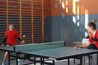Tenis stołowy IMS 2017_11