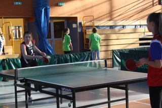 Tenis stołowy IMS 2017_13