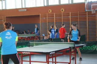 Tenis stołowy IMS 2017_1