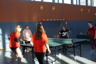 Tenis stołowy IMS 2017_29