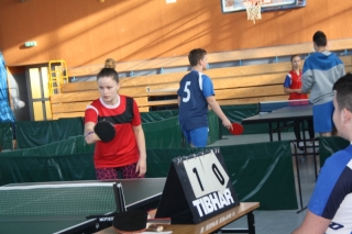 Tenis stołowy IMS 2017_4