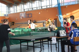 Tenis stołowy IMS 2017_5